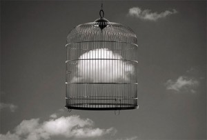 Libre entre rejas