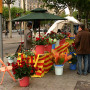 Sant Jordi: opinión