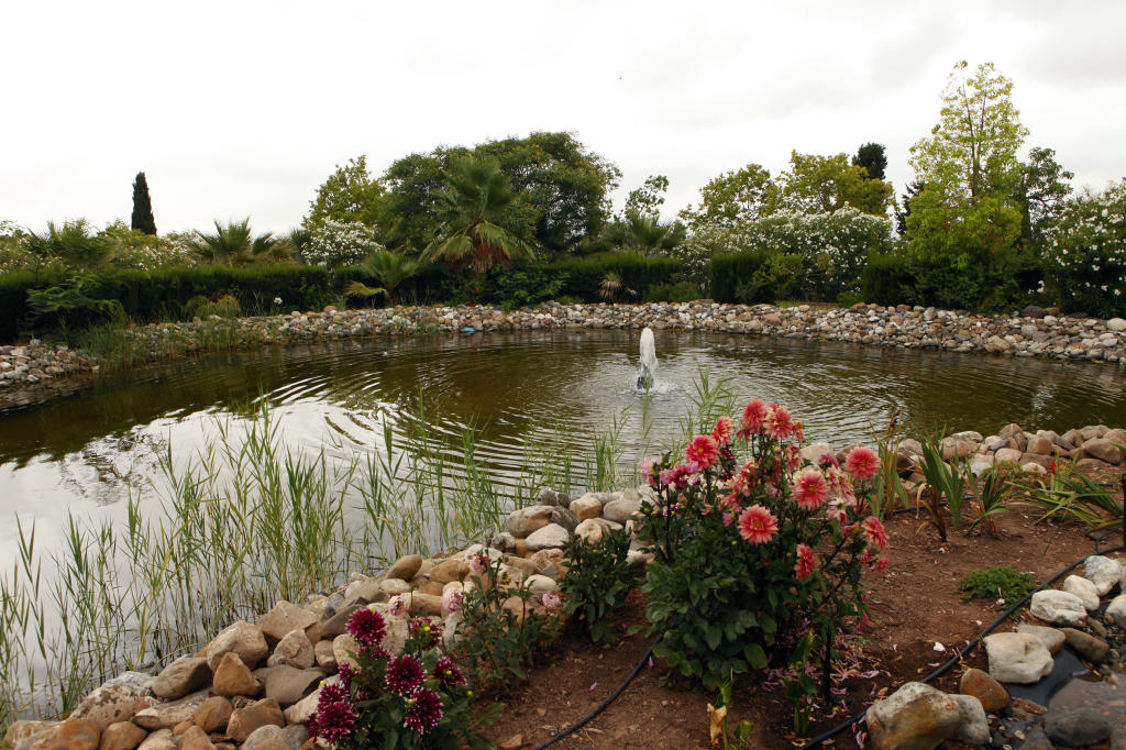 Directo del jardín de los recuerdos