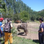 Primer entreno en Daroca